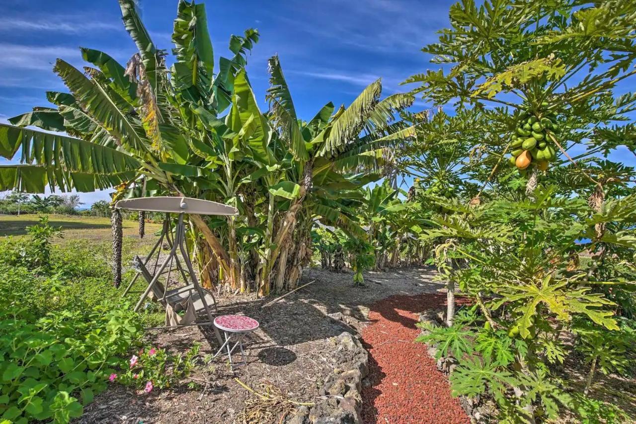 Tranquility Guest House Holualoa ภายนอก รูปภาพ